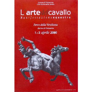 (icona_immagine)